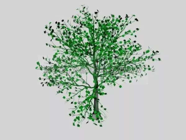 Full-grown Tree 3d model Full-grown Tree 3d model