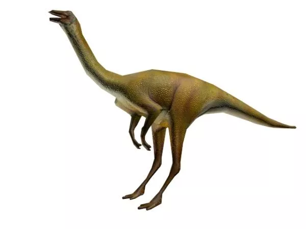 Lowpoly Cartoon Dinosaur Animal 3d model