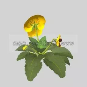 Garden Pansy Plant 3d model