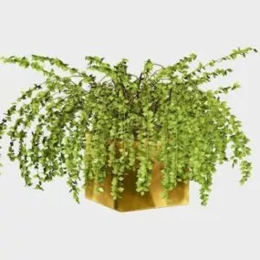 Garden Potted Plant 3d model