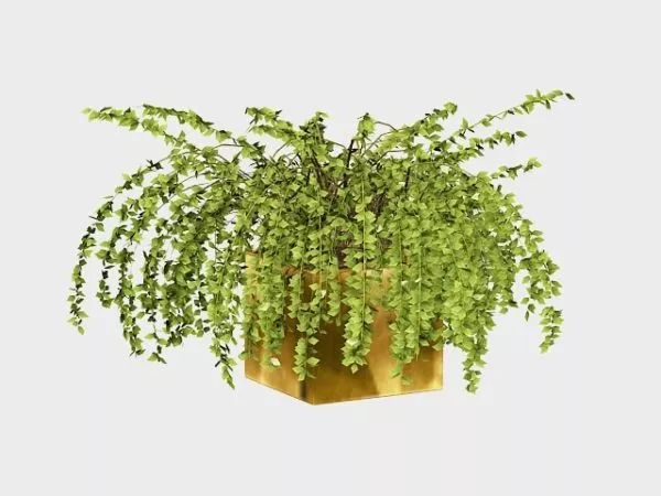 Garden Potted Plant 3d model Garden Potted Plant 3d model