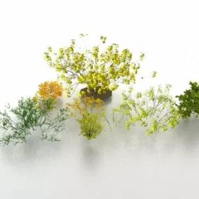 Garden Shrubs And Bushes 3d model