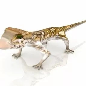 Gecko Lizard Animal 3d model