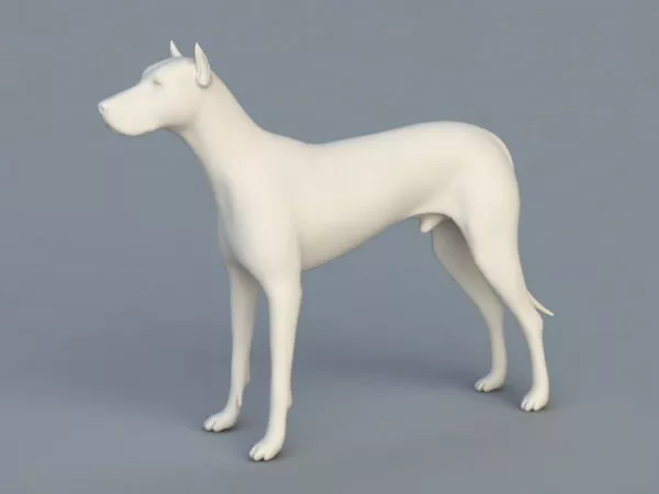 Realistic Boxer Dog 3d model