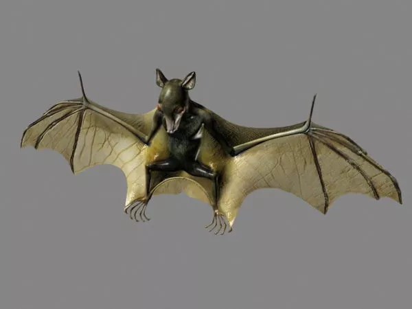 Giant Bat 3d model Giant Bat 3d model