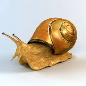 Giant Land Snail 3d model