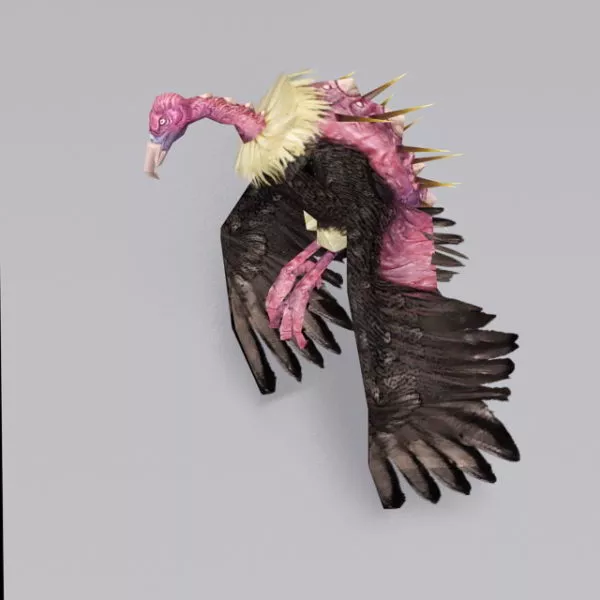 Condor Vulture Bird 3d model