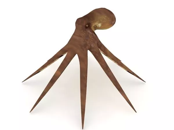Octopus Character Chain 3d model