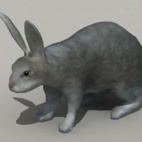 Giant Rabbit 3d model