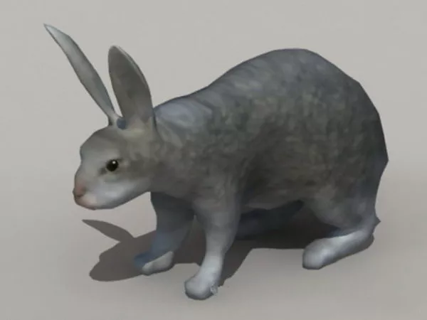 Rabbit Mask Character 3d model
