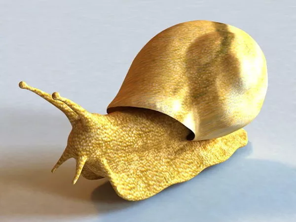 Giant Snail 3d model Giant Snail 3d model