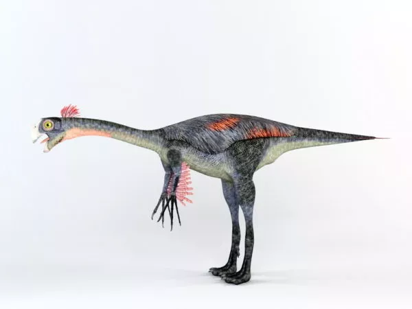Gigantoraptor Dinosaur Rig 3d model Gigantoraptor Dinosaur Rig 3d model