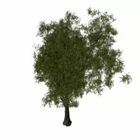 Goat Willow Tree 3d model