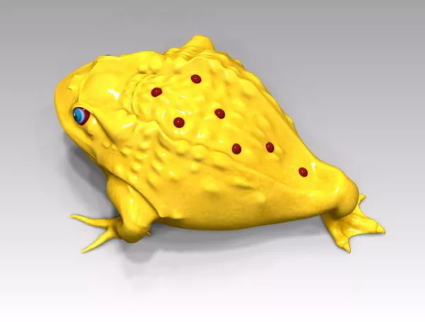 Frog Animal Realistic Style 3d model