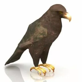 Golden Eagle Bird Animal 3d model