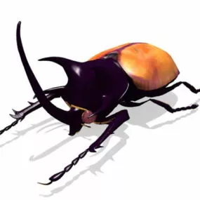 Golden Stag Beetle Animal 3d model
