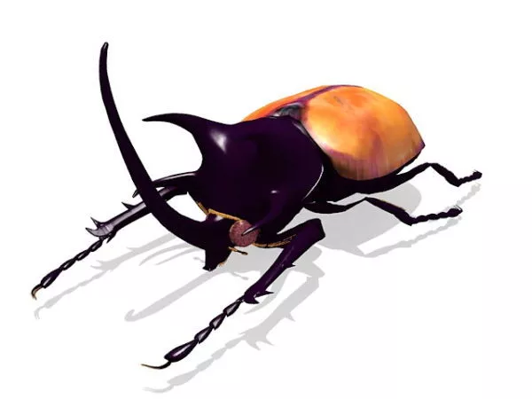 Golden Stag Beetle Animal 3d model Golden Stag Beetle Animal 3d model