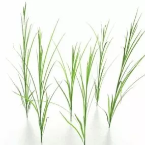 Grass 3d model