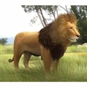 Grassland Lion Animal 3d model