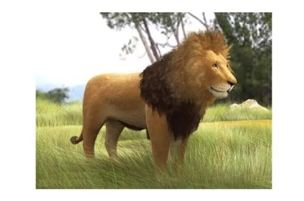 Anime Lion 3d model