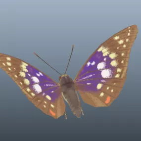 Great Purple Emperor Butterfly 3d model