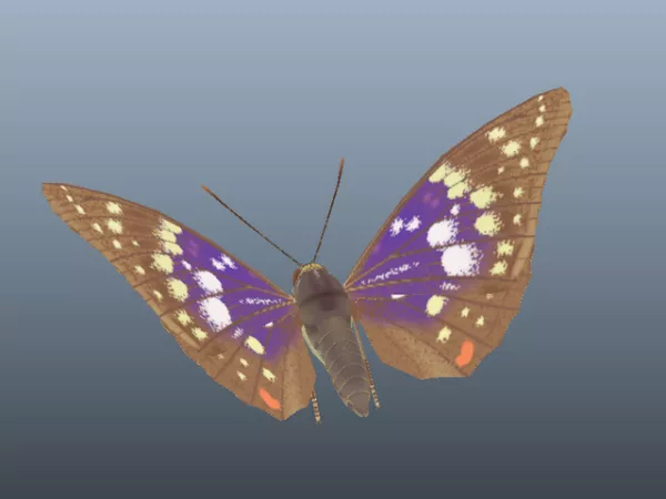 Great Purple Emperor Butterfly 3d model Great Purple Emperor Butterfly 3d model