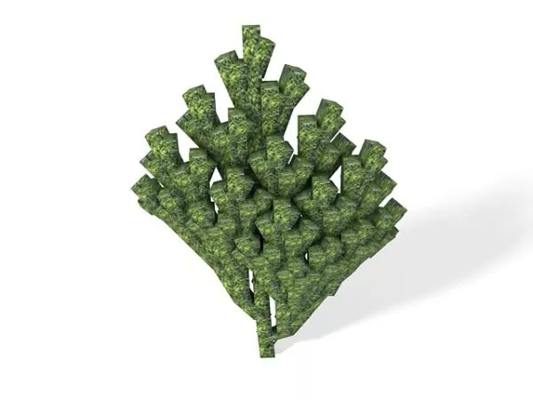 Green Acropora Coral 3d model Green Acropora Coral 3d model