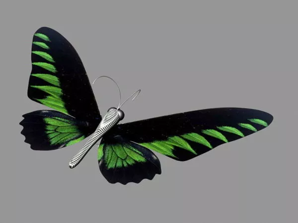 Blue Butterfly, Lowpoly Butterfly 3d model