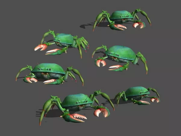 Scan Of Reef Crab Animal 3d model