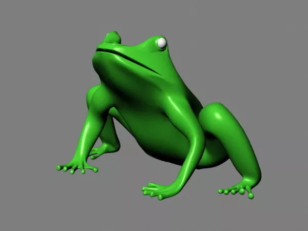 Frog Animal Realistic Style 3d model
