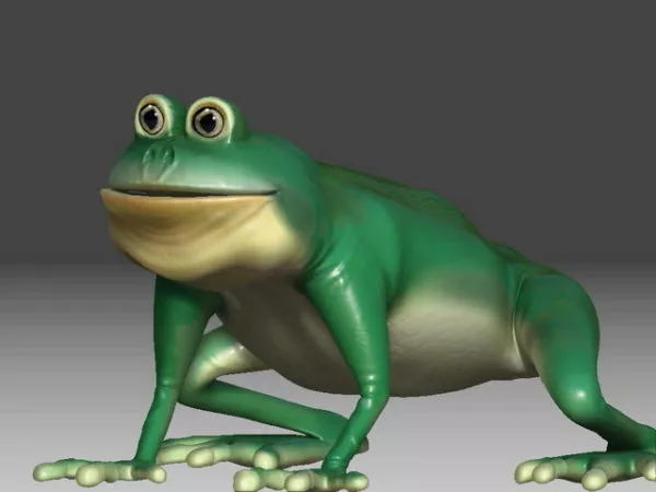 Frog Animal Realistic Style 3d model