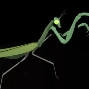 Green Mantis 3d model