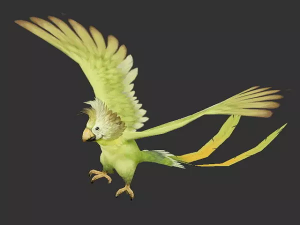 Realistic Toucan Bird 3d model