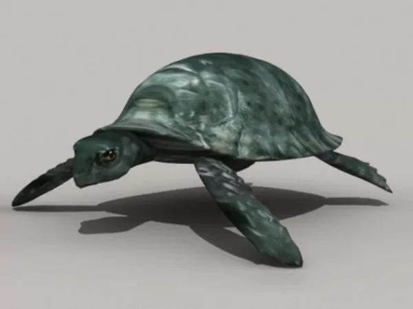 Sea Turtle, Sea Animal 3d model
