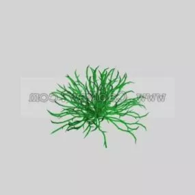Green Grass Plant 3d model