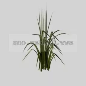 Green Water Weeds 3d model