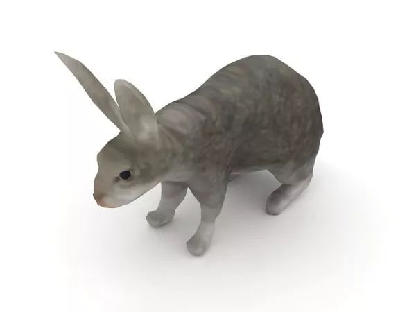 Grey Rabbit Animal 3d model Grey Rabbit Animal 3d model