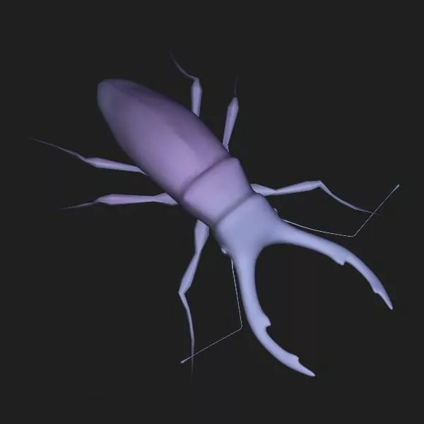 Wild Ground Beetle 3d model Wild Ground Beetle 3d model