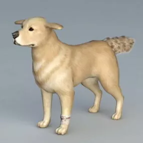 Guide Dog 3d model