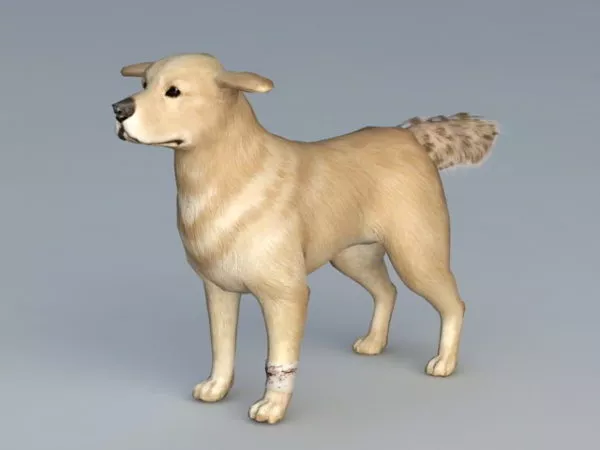 Guide Dog 3d model Guide Dog 3d model