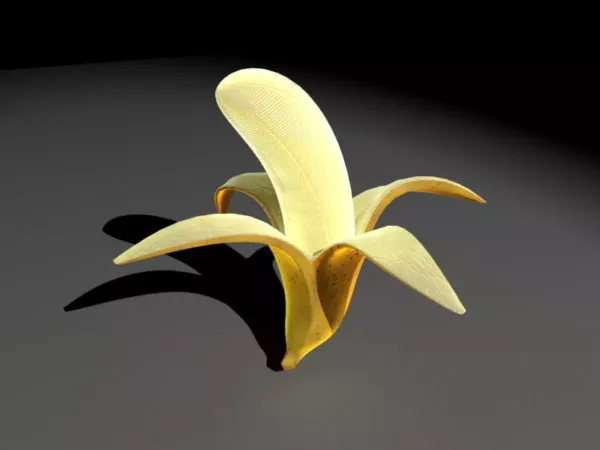 Cavendish Banana 3d model