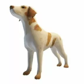 Asia Harrier Dog Animal 3d model