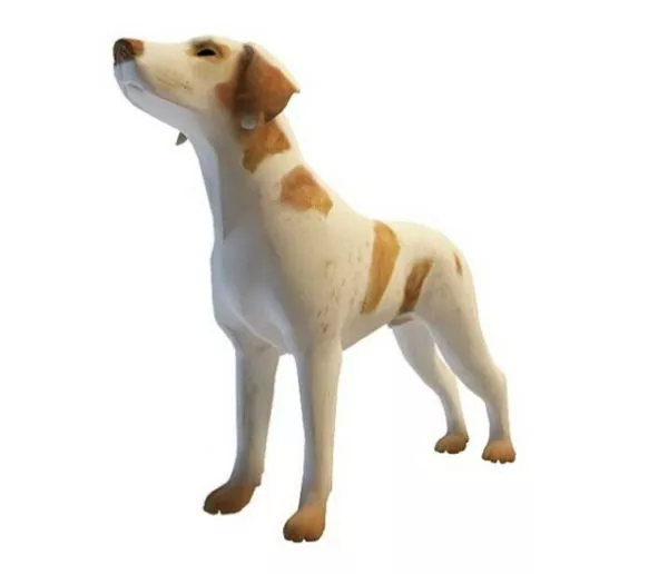 Realistic Tan Dog 3d model