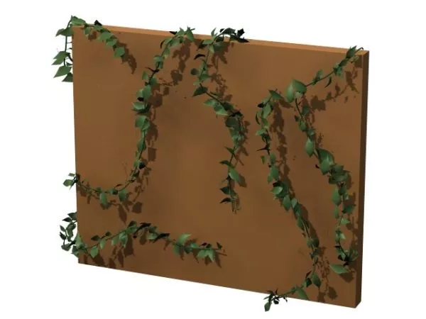Hedera Colchica Persian Ivy 3d model Hedera Colchica Persian Ivy 3d model