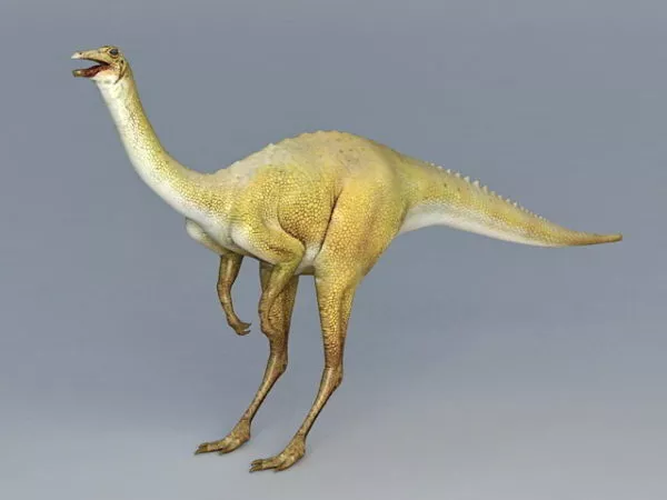 Pterosaur Dinosaur 3d model
