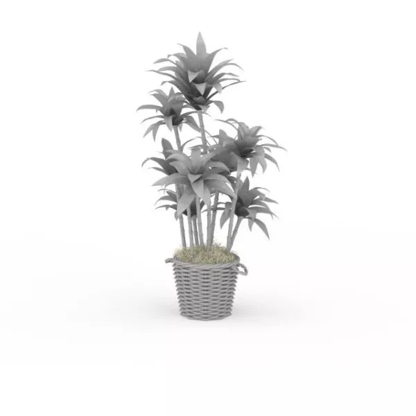 House Plant Trees 3d model House Plant Trees 3d model