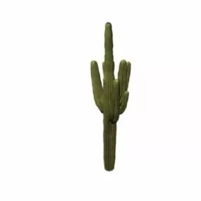 Huge Cactus 3d model