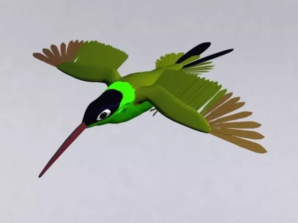 Hummingbird 3d model Hummingbird 3d model