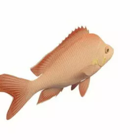 Humpback Red Snapper 3d model