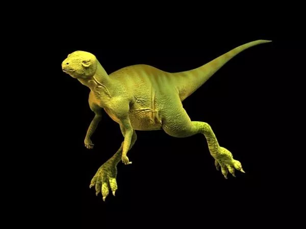 Realistic Ankylosaurus Dinosaur 3d model